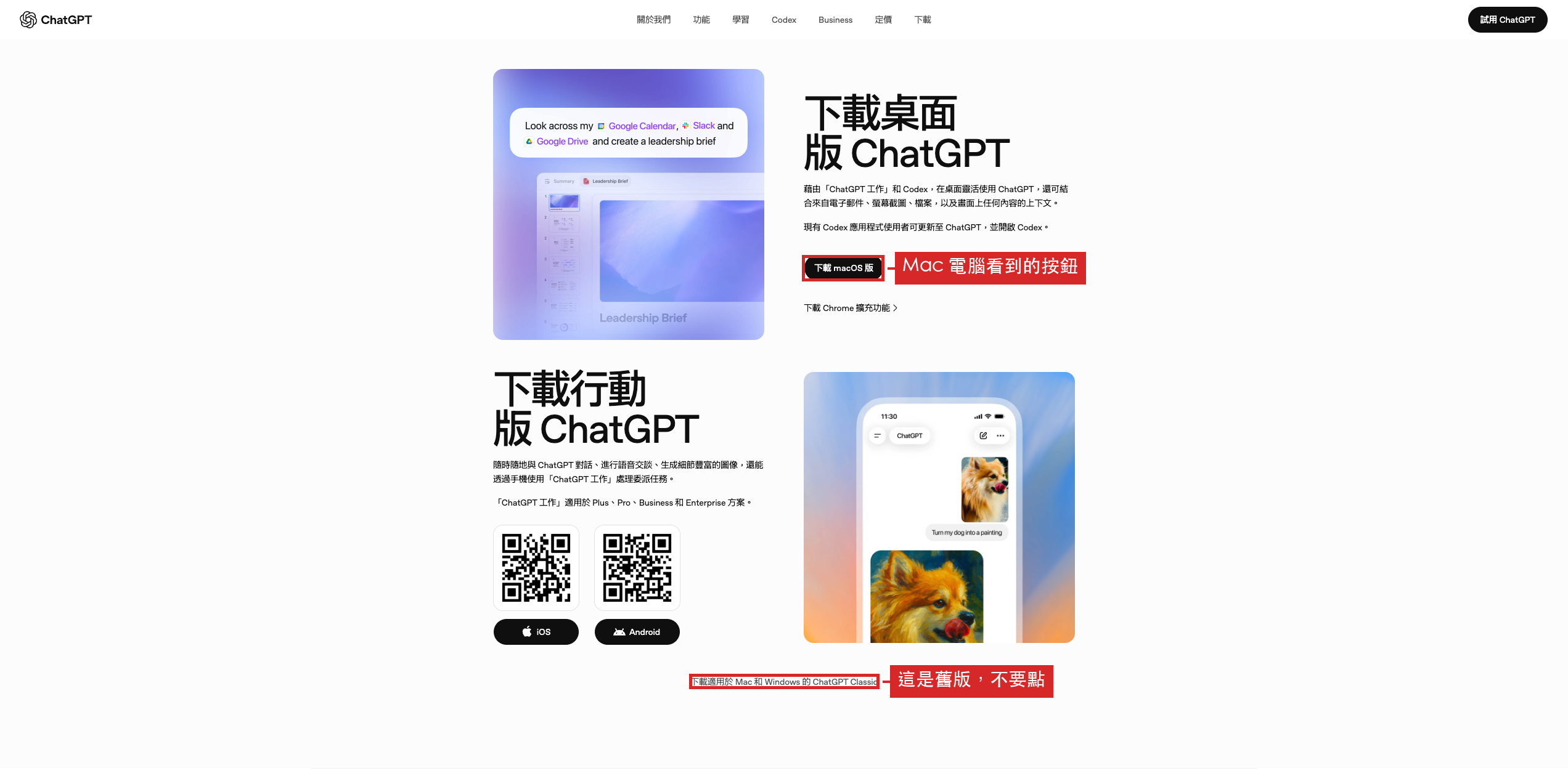 ChatGPT 下載頁在 Mac 上的樣子，紅框標出主按鈕與底部不該點的舊版連結